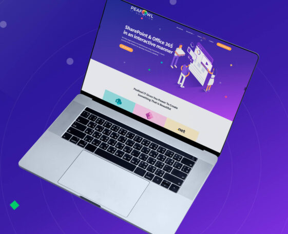 Web Design for Hopper Balloons